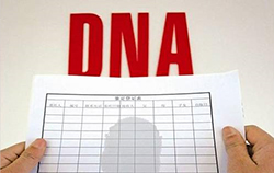山东省DNA鉴定结果多长时间能出来，山东省个人亲子鉴定需要什么手续